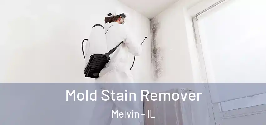  Mold Stain Remover Melvin - IL