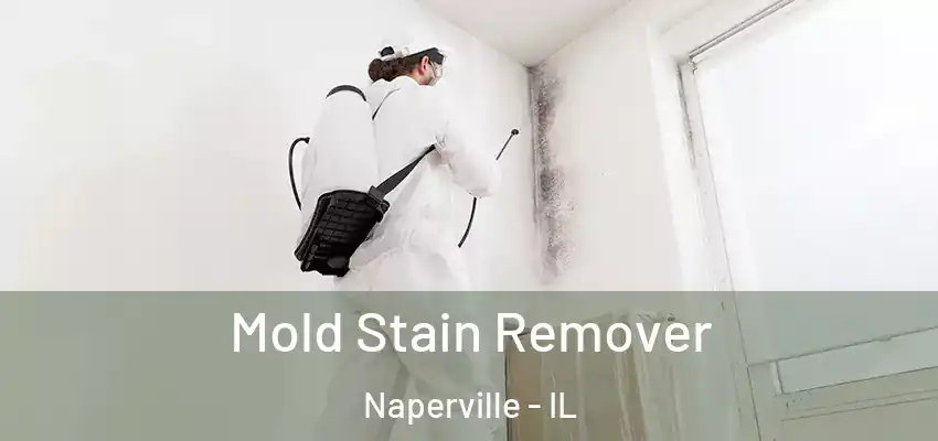  Mold Stain Remover Naperville - IL