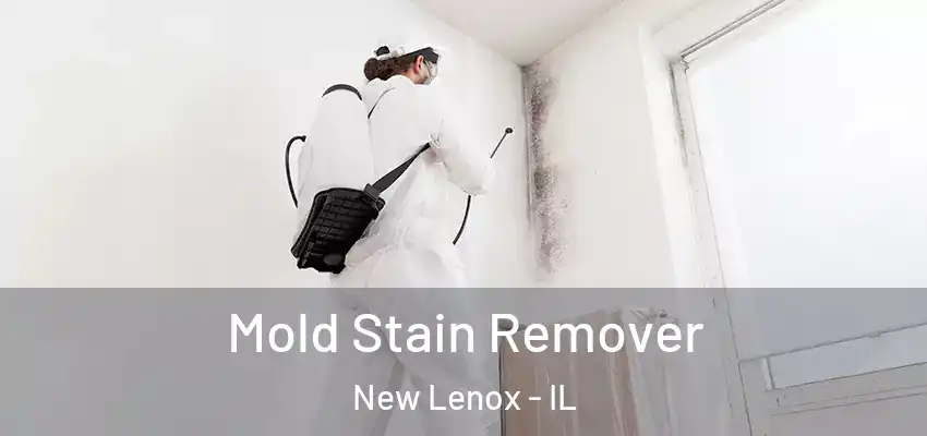  Mold Stain Remover New Lenox - IL