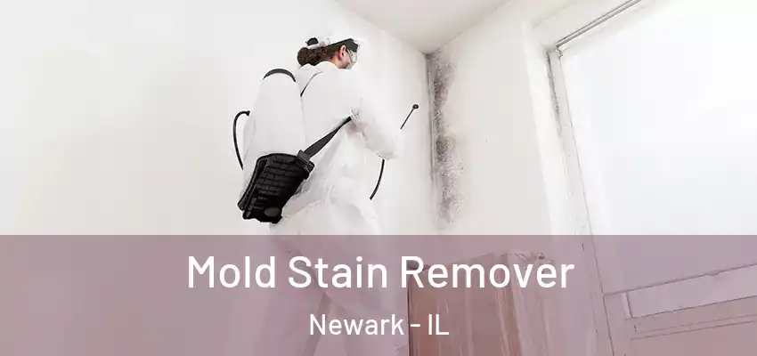  Mold Stain Remover Newark - IL