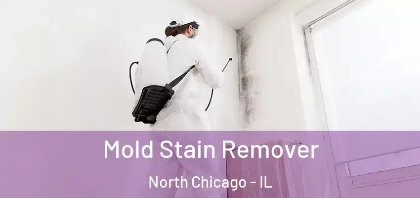 Mold Stain Remover North Chicago - IL