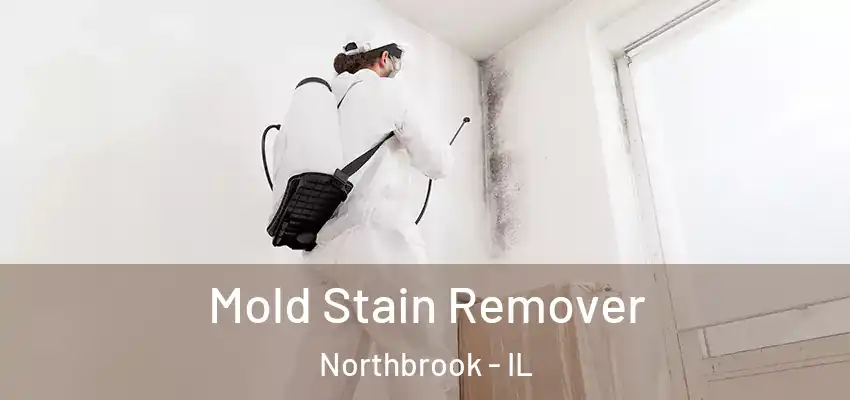  Mold Stain Remover Northbrook - IL