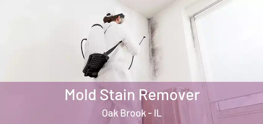  Mold Stain Remover Oak Brook - IL