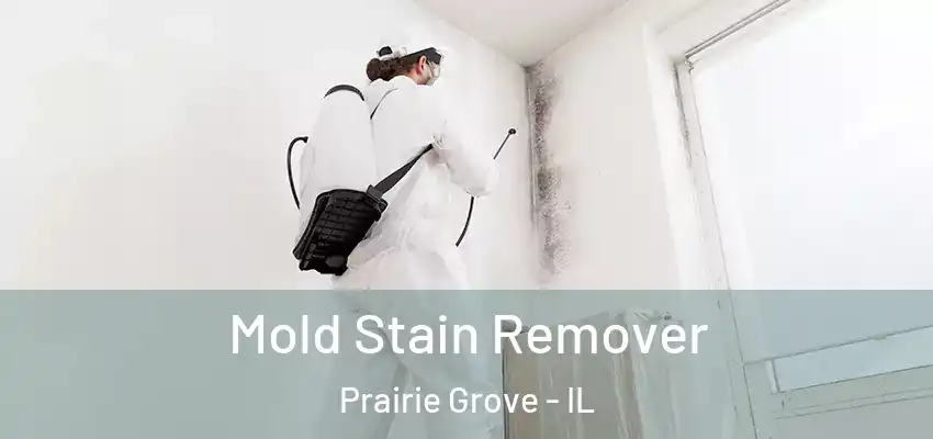  Mold Stain Remover Prairie Grove - IL