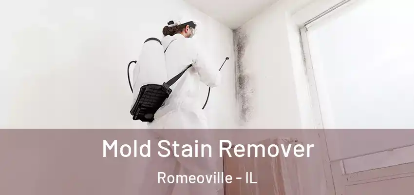  Mold Stain Remover Romeoville - IL