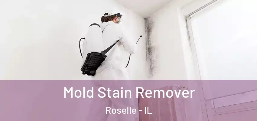  Mold Stain Remover Roselle - IL