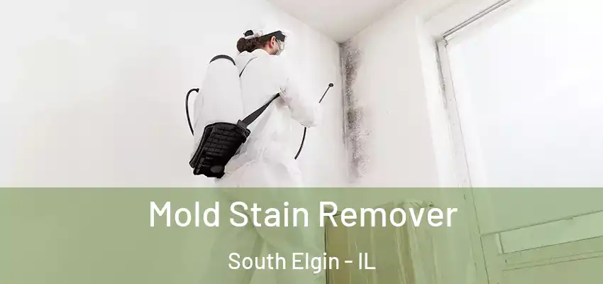 Mold Stain Remover South Elgin - IL