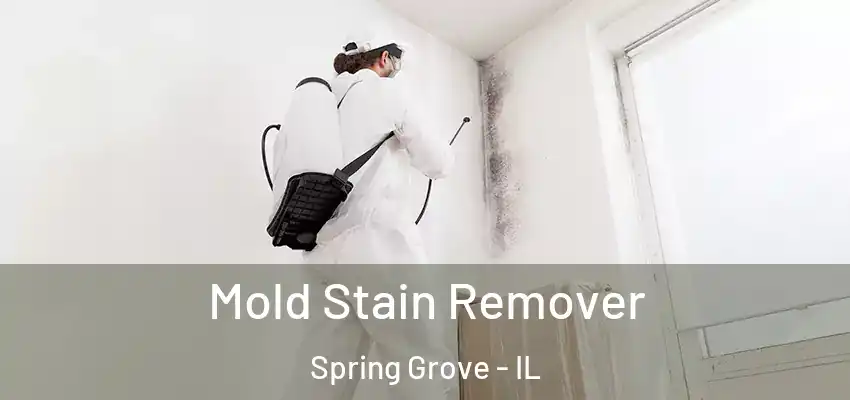  Mold Stain Remover Spring Grove - IL
