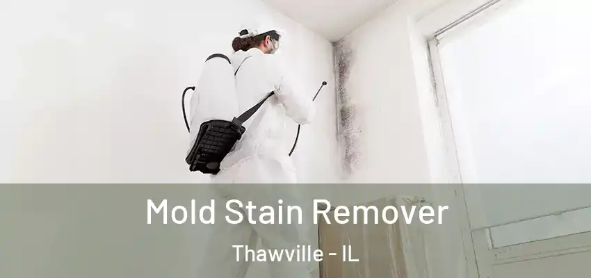  Mold Stain Remover Thawville - IL