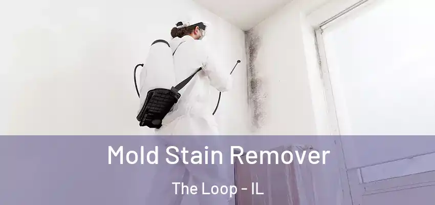  Mold Stain Remover The Loop - IL