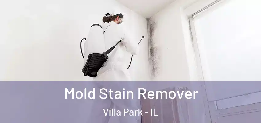 Mold Stain Remover Villa Park - IL