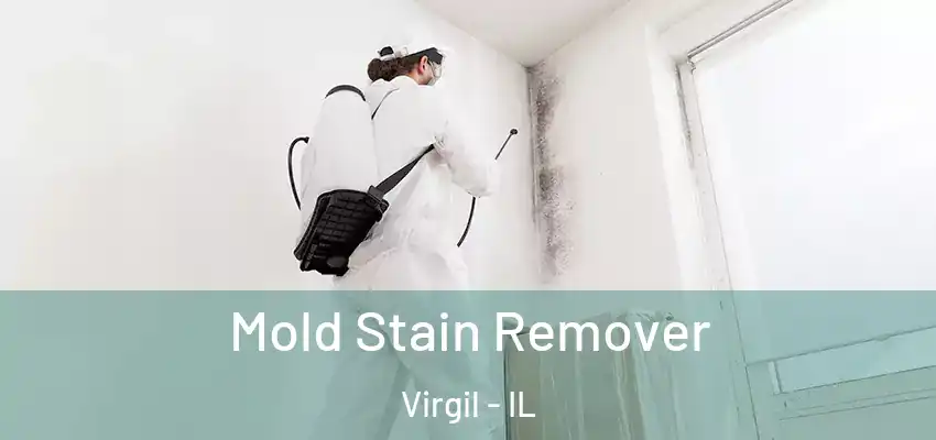  Mold Stain Remover Virgil - IL