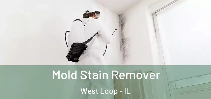  Mold Stain Remover West Loop - IL