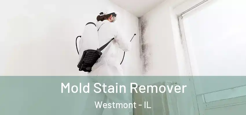  Mold Stain Remover Westmont - IL