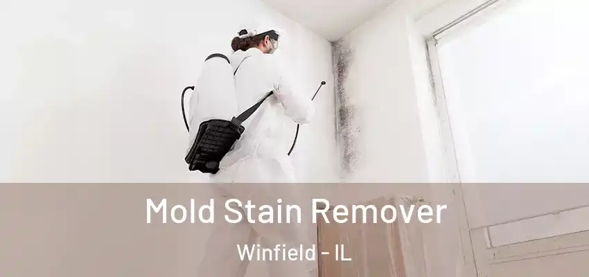  Mold Stain Remover Winfield - IL