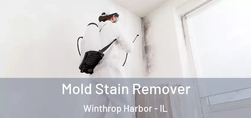 Mold Stain Remover Winthrop Harbor - IL