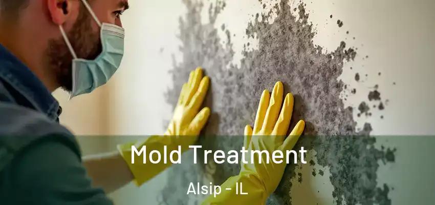 Mold Treatment Alsip - IL