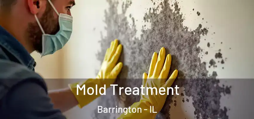  Mold Treatment Barrington - IL