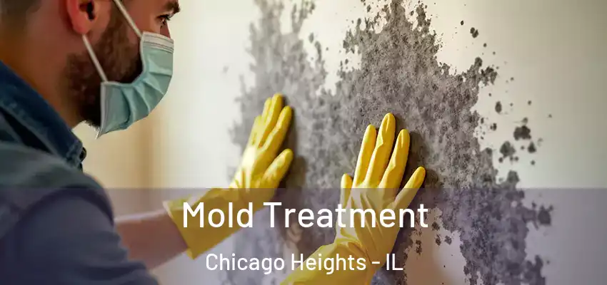  Mold Treatment Chicago Heights - IL