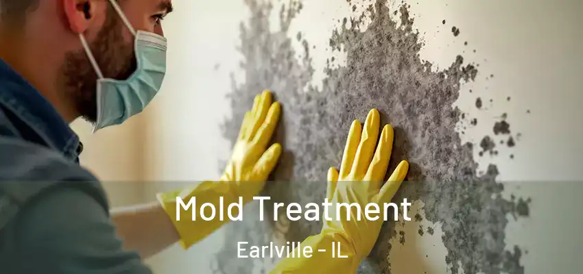  Mold Treatment Earlville - IL