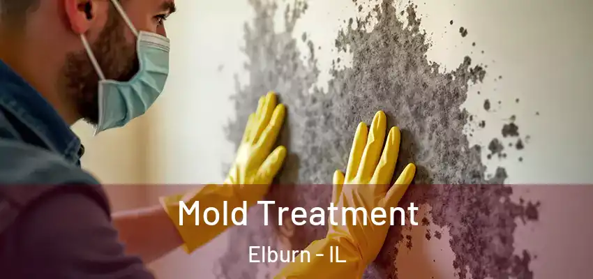  Mold Treatment Elburn - IL