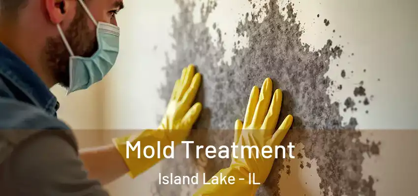  Mold Treatment Island Lake - IL