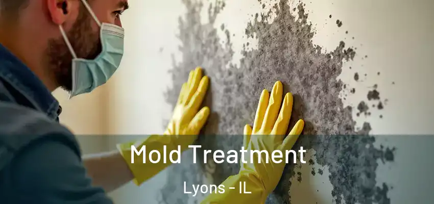  Mold Treatment Lyons - IL
