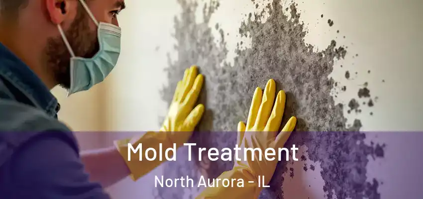  Mold Treatment North Aurora - IL