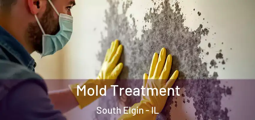 Mold Treatment South Elgin - IL