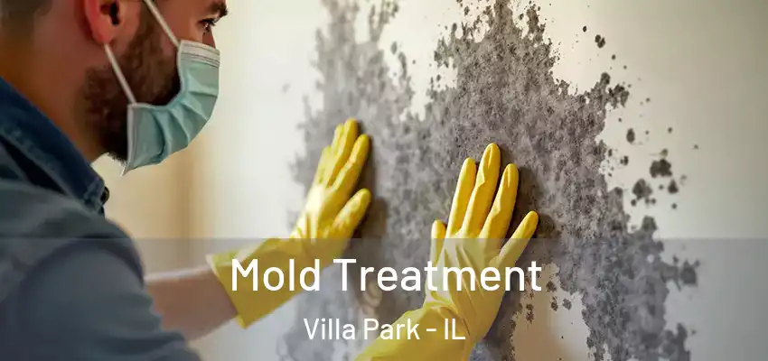  Mold Treatment Villa Park - IL