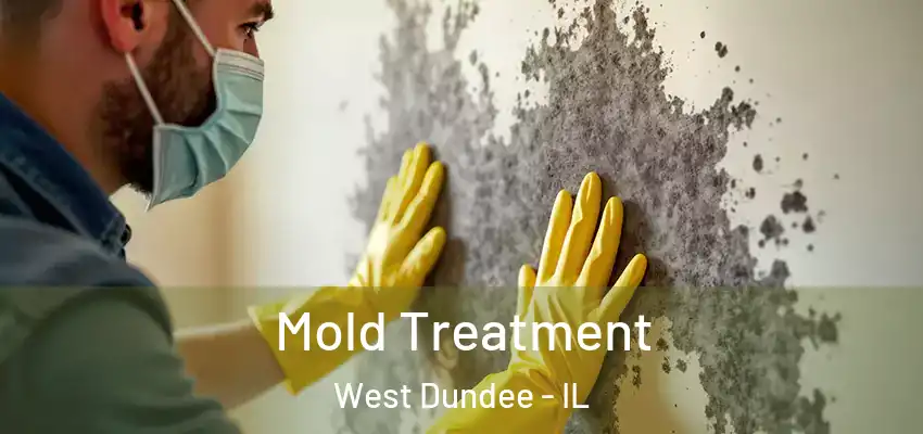 Mold Treatment West Dundee - IL