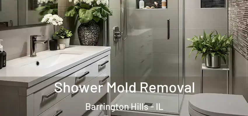  Shower Mold Removal Barrington Hills - IL