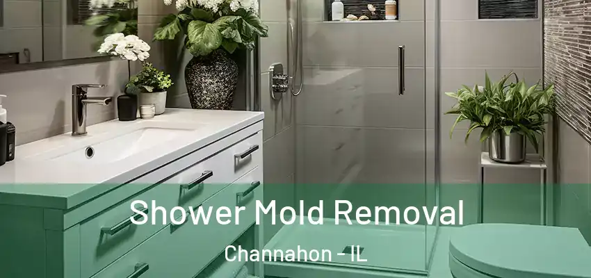  Shower Mold Removal Channahon - IL