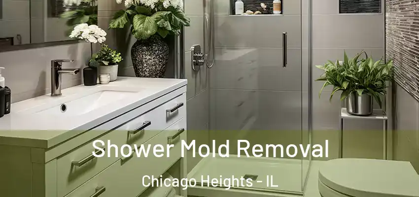 Shower Mold Removal Chicago Heights - IL