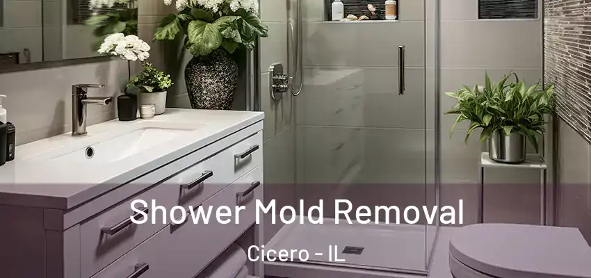  Shower Mold Removal Cicero - IL