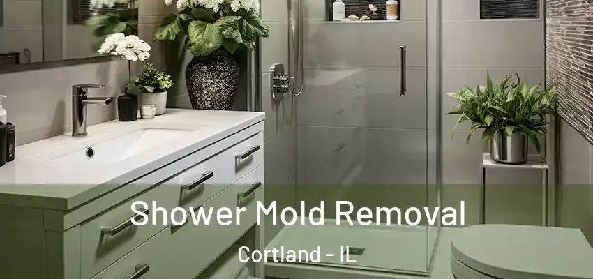  Shower Mold Removal Cortland - IL