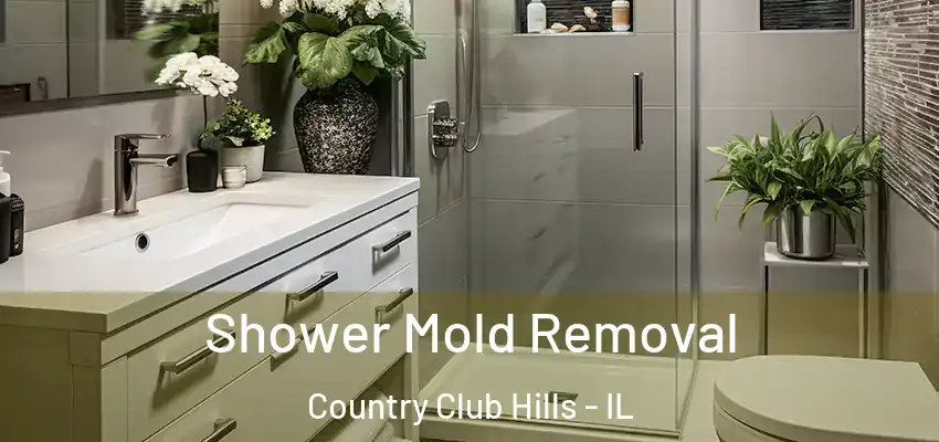 Shower Mold Removal Country Club Hills - IL