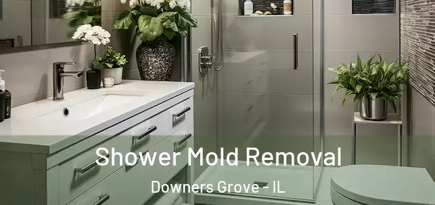 Shower Mold Removal Downers Grove - IL