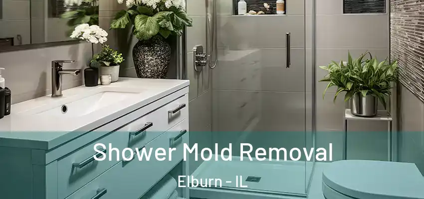  Shower Mold Removal Elburn - IL