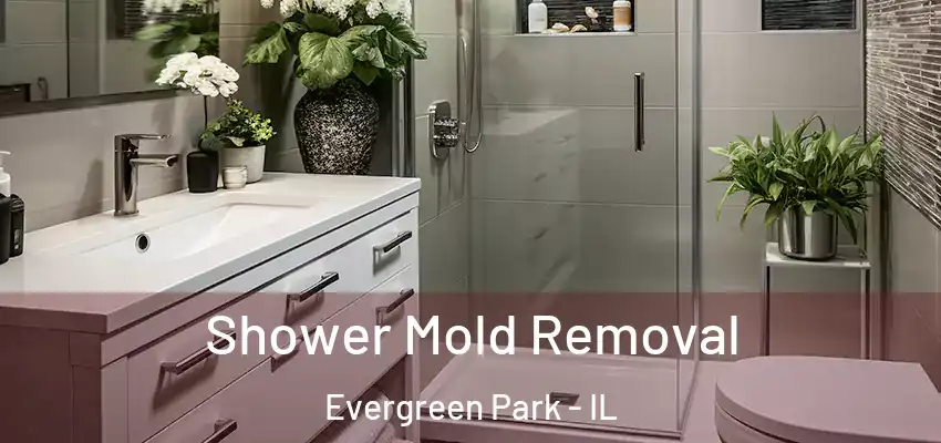  Shower Mold Removal Evergreen Park - IL