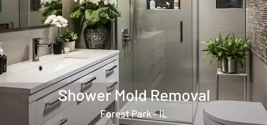  Shower Mold Removal Forest Park - IL