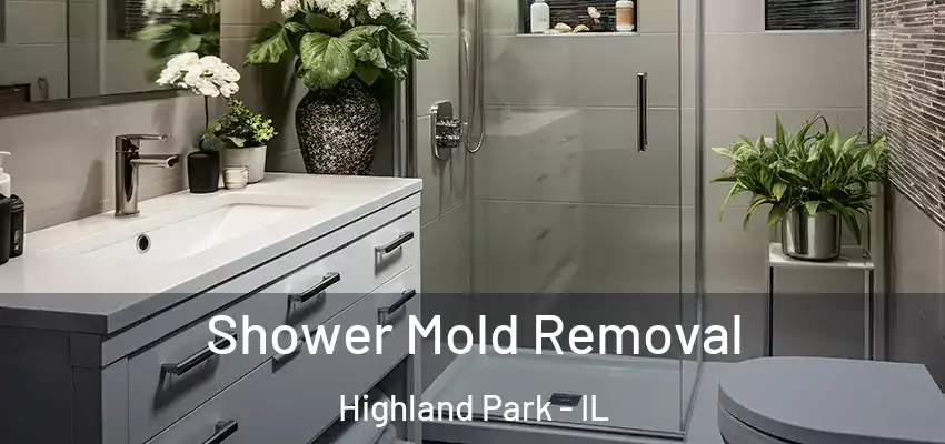  Shower Mold Removal Highland Park - IL