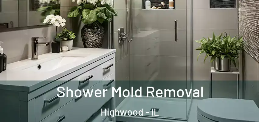  Shower Mold Removal Highwood - IL