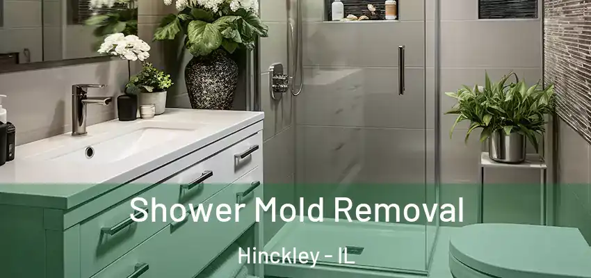  Shower Mold Removal Hinckley - IL