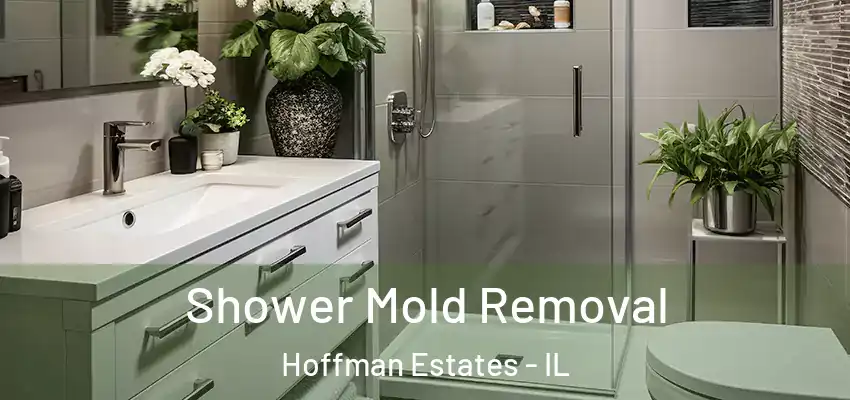  Shower Mold Removal Hoffman Estates - IL