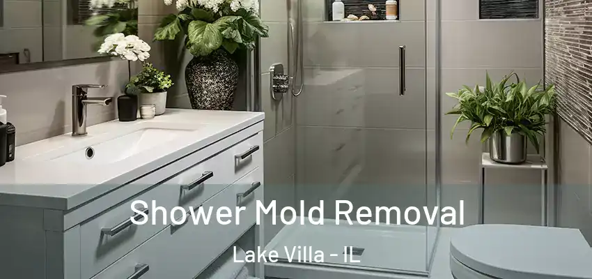  Shower Mold Removal Lake Villa - IL