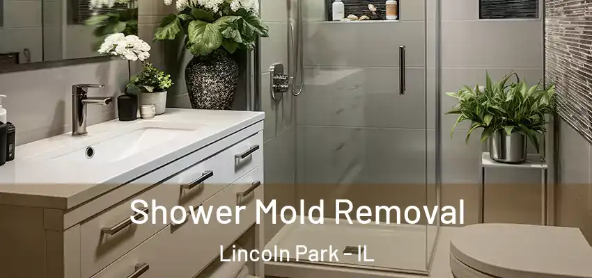  Shower Mold Removal Lincoln Park - IL