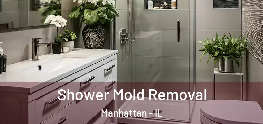  Shower Mold Removal Manhattan - IL