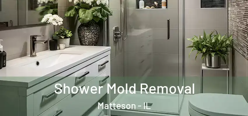  Shower Mold Removal Matteson - IL