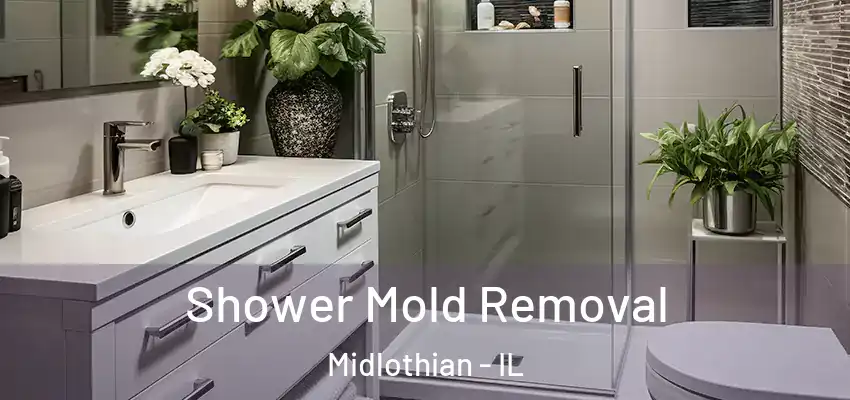  Shower Mold Removal Midlothian - IL